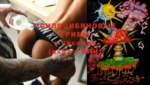 spice Алексин