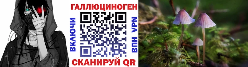 Псилоцибиновые грибы GOLDEN TEACHER  Качканар 